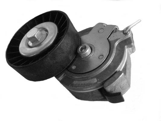 Coram CT1004 Deflection/guide pulley, v-ribbed belt CT1004