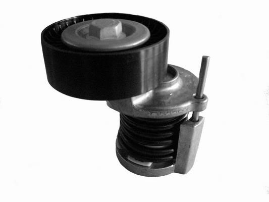 Coram CT1012 Deflection/guide pulley, v-ribbed belt CT1012