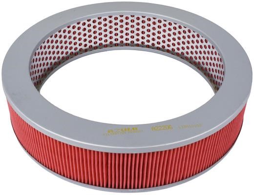 Azumi Filtration Product A22206 Air filter A22206