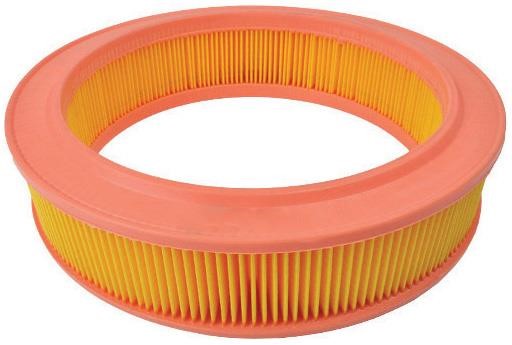 Azumi Filtration Product A40021 Air filter A40021