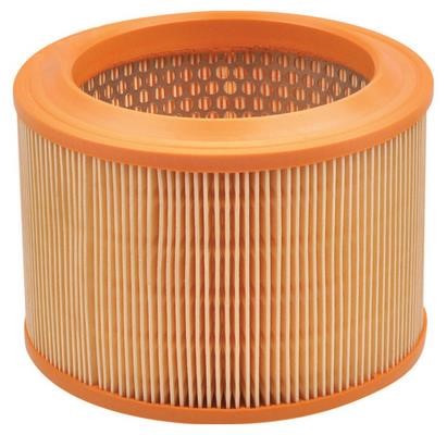 Azumi Filtration Product A42161 Air filter A42161