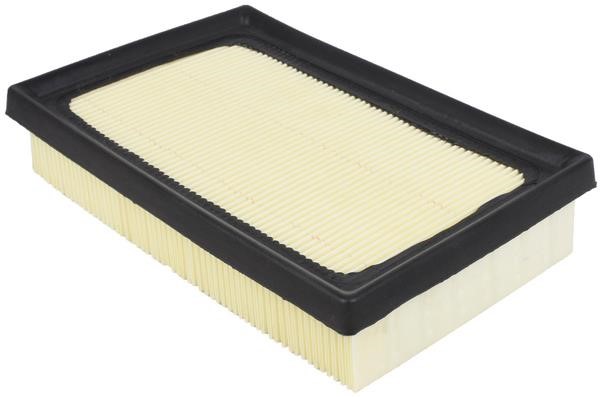 Azumi Filtration Product A21031 Air filter A21031