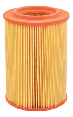 Azumi Filtration Product A33074 Air filter A33074