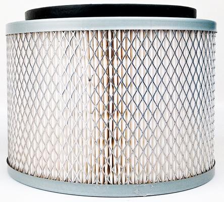 Azumi Filtration Product A22502 Air filter A22502