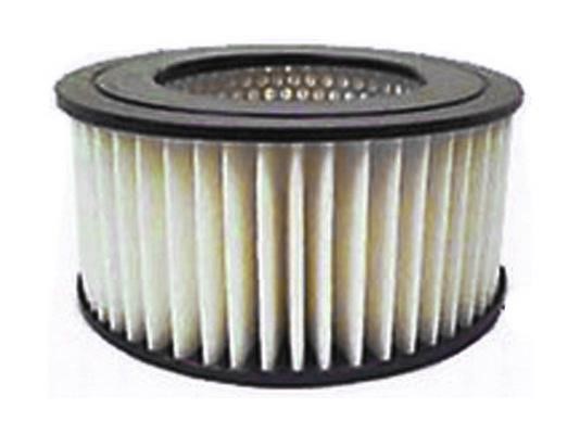 Azumi Filtration Product A21132 Air filter A21132