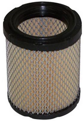 Azumi Filtration Product A53007 Air filter A53007