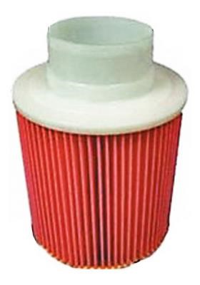Azumi Filtration Product A28831 Air filter A28831