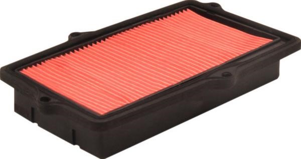Azumi Filtration Product A40194 Air filter A40194