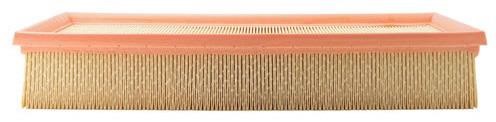 Azumi Filtration Product A52009 Air filter A52009