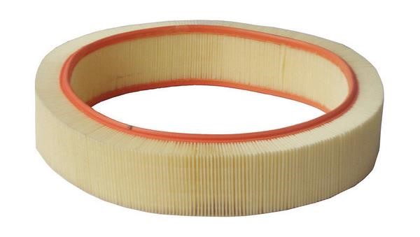 Azumi Filtration Product A31062 Air filter A31062