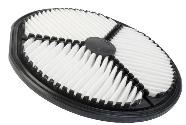 Azumi Filtration Product A12201 Air filter A12201