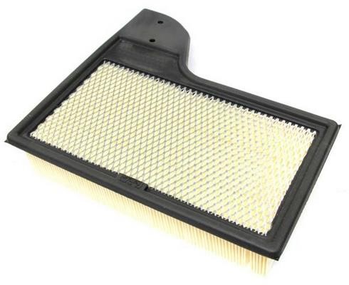 Azumi Filtration Product A51039 Air filter A51039