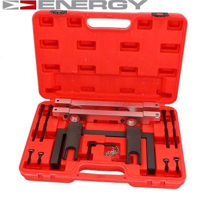 NE00375 Energy Adjustment Tool Kit, valve timing