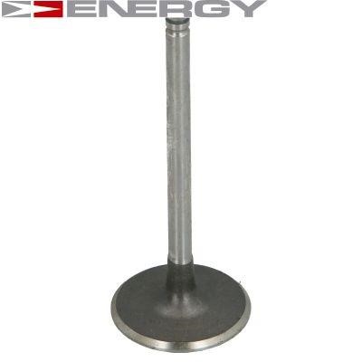 Energy 90220119 Intake valve 90220119