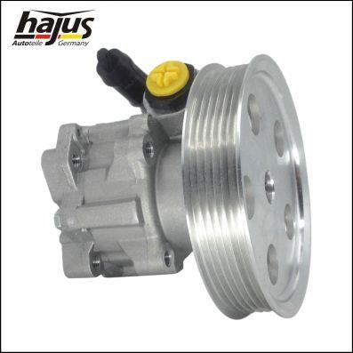 Hajus 4221023 Hydraulic Pump, steering system 4221023