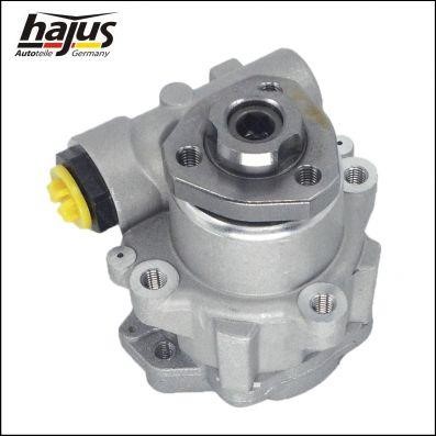 Hajus 4221017 Hydraulic Pump, steering system 4221017