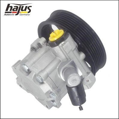 Hajus 4221035 Hydraulic Pump, steering system 4221035