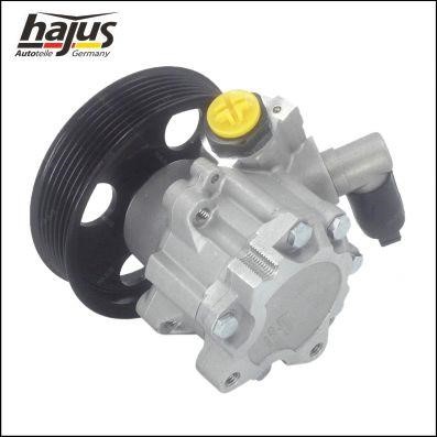 Hydraulic Pump, steering system Hajus 4221035