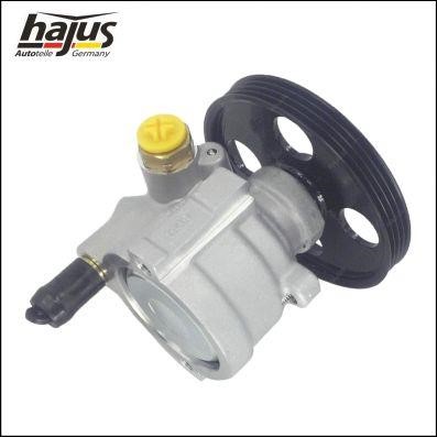 Hajus 4221048 Hydraulic Pump, steering system 4221048