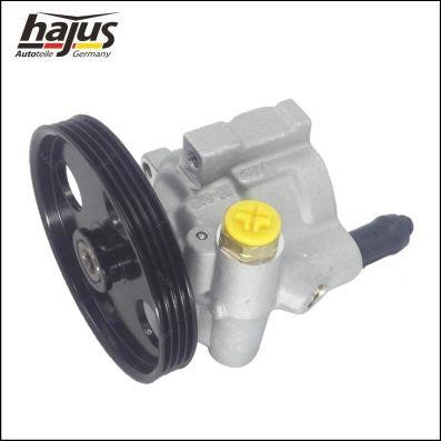 Hydraulic Pump, steering system Hajus 4221048