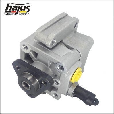 Hydraulic Pump, steering system Hajus 4221042