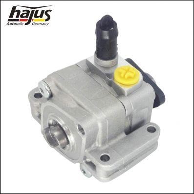 Hajus 4221042 Hydraulic Pump, steering system 4221042