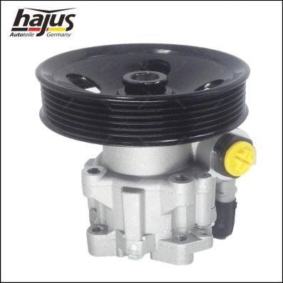 Hajus 4221030 Hydraulic Pump, steering system 4221030