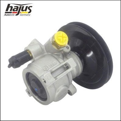 Hydraulic Pump, steering system Hajus 4221044