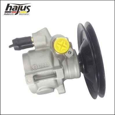 Hajus 4221044 Hydraulic Pump, steering system 4221044