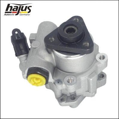 Hydraulic Pump, steering system Hajus 4221038