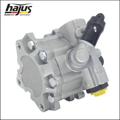Hajus 4221038 Hydraulic Pump, steering system 4221038