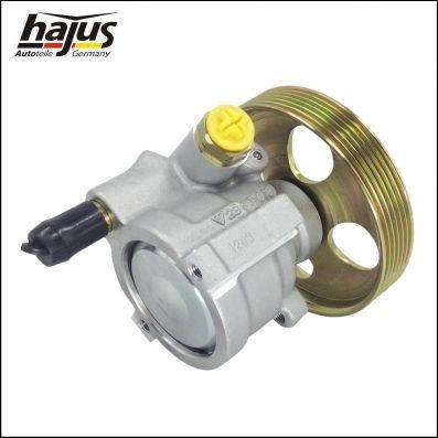 Hajus 4221047 Hydraulic Pump, steering system 4221047