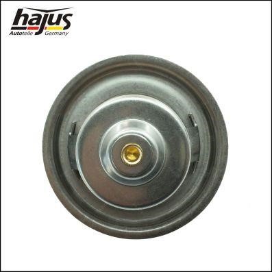 Buy Hajus 1211161 at a low price in United Arab Emirates!