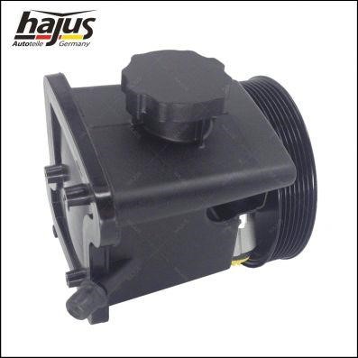 Hajus 4221034 Hydraulic Pump, steering system 4221034