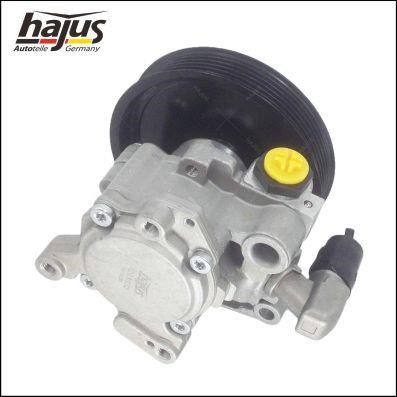 Hajus 4221032 Hydraulic Pump, steering system 4221032