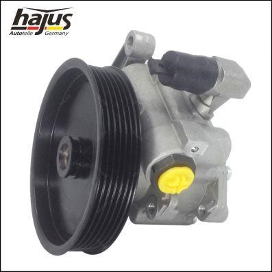 Hydraulic Pump, steering system Hajus 4221032