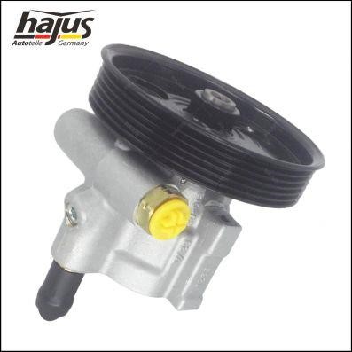 Hydraulic Pump, steering system Hajus 4221049