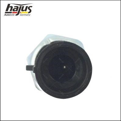Buy Hajus 1151120 – good price at EXIST.AE!