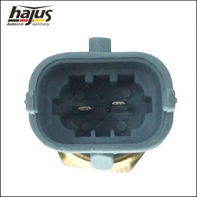 Buy Hajus 1211332 at a low price in United Arab Emirates!