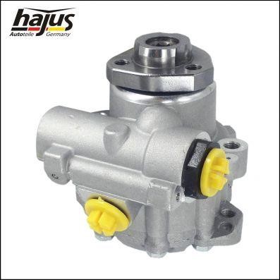 Hydraulic Pump, steering system Hajus 4221017