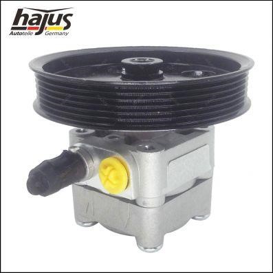 Hajus 4221046 Hydraulic Pump, steering system 4221046