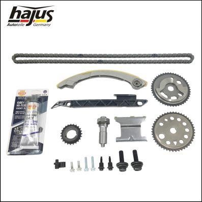 Hajus 1151423 Timing chain kit 1151423