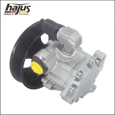 Hydraulic Pump, steering system Hajus 4221028