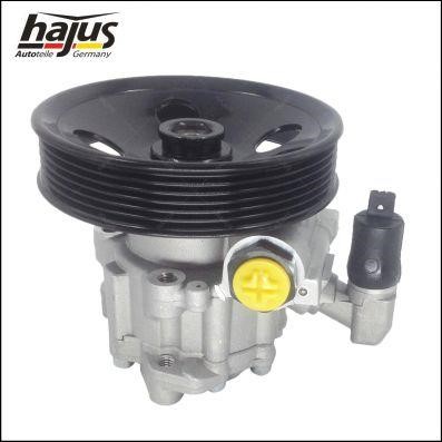 Hajus 4221028 Hydraulic Pump, steering system 4221028