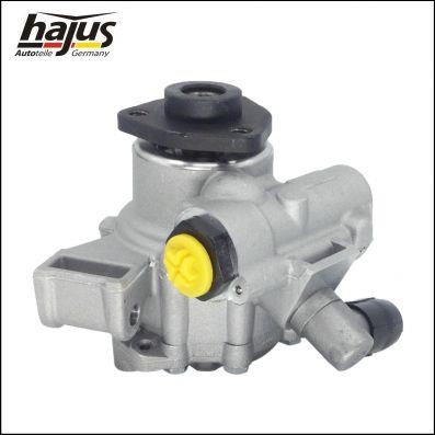 Hydraulic Pump, steering system Hajus 4221027