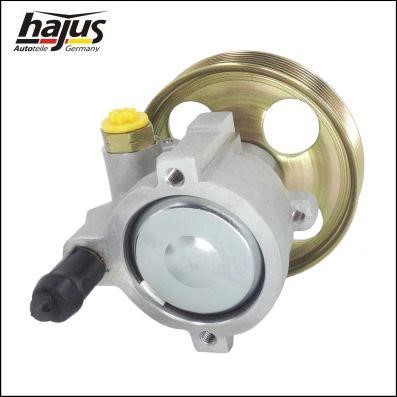 Hajus 4221050 Hydraulic Pump, steering system 4221050