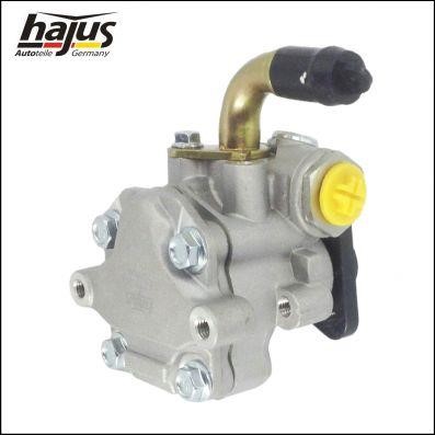 Hydraulic Pump, steering system Hajus 4221020
