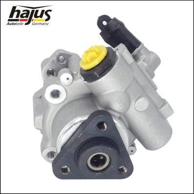 Hajus 4221012 Hydraulic Pump, steering system 4221012