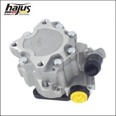 Hydraulic Pump, steering system Hajus 4221012