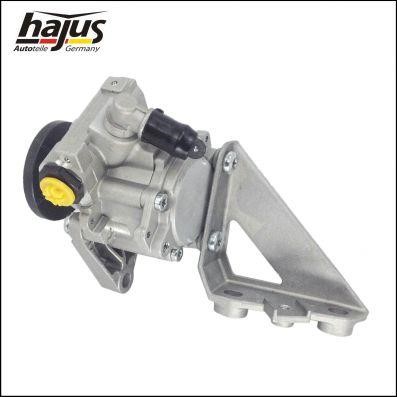 Hajus 4221043 Hydraulic Pump, steering system 4221043